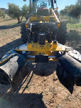 Vibrador aceituna y almendra