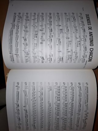 Libro La Guitarra: Historia, Flamenco