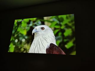 Proyector YABER K2s Wifi 800 ANSI Negro