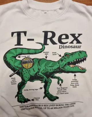 Maglione T-Rex H&M 6-8 anni