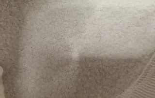 Maglione T-Rex H&M 6-8 anni