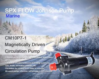 Bomba agua Johnson Marine alto rendimiento 12V