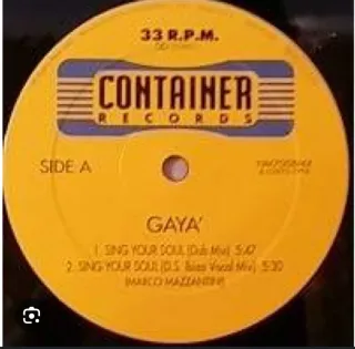 Gaya - Sing Your Soul 12 Container Records