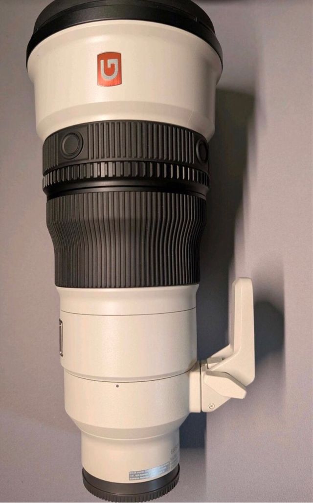 Sony 300mm f/2.8 GM