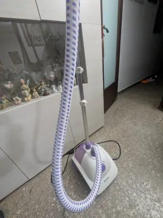 Plancha de vapor de pie