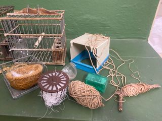 Jaulas pájaro jilguero canario caza nido comederos