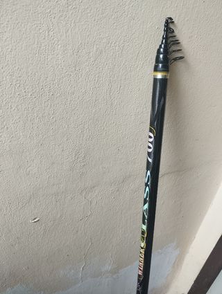 2 canne da pesca 7 metri