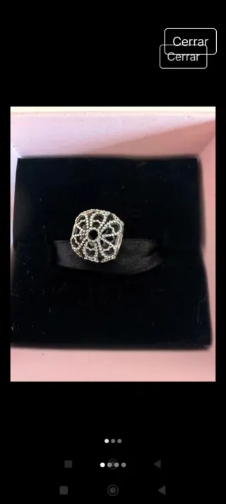 Pandora Charm Plata