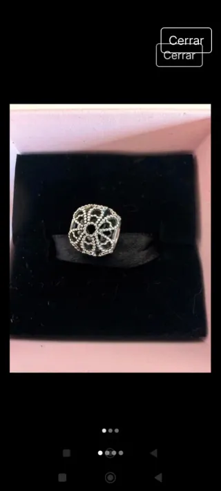 Pandora Charm Plata