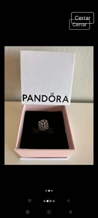 Pandora Charm Plata