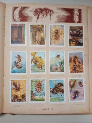 Álbum Curiosidades del Universo