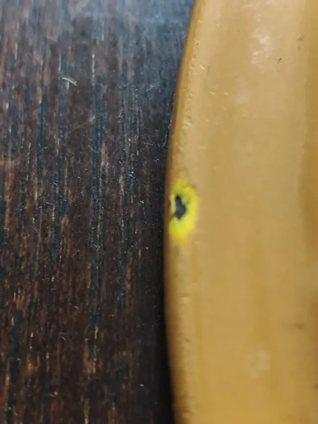 Tapa Le Creuset Amarilla 20 cm