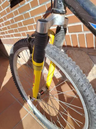 Bicicleta de Montaña