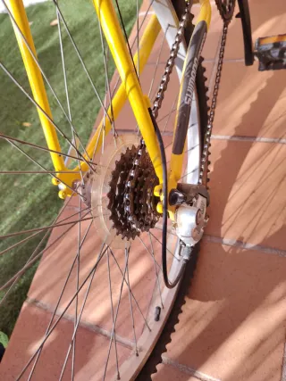 Bicicleta de Montaña