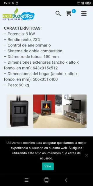 Chimenea metálica con puerta de cristal