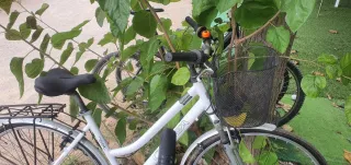 Bicicleta Orbea Paseo Suspensión CAMBIO x videocon