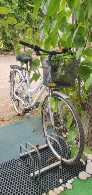 Bicicleta Orbea Paseo Suspensión CAMBIO x videocon