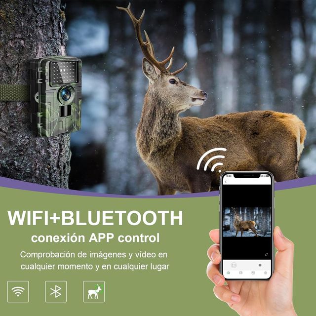 Lutranstra Cámara de vida silvestre 4K