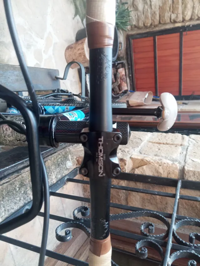 Ragley Blue Pig 27.5