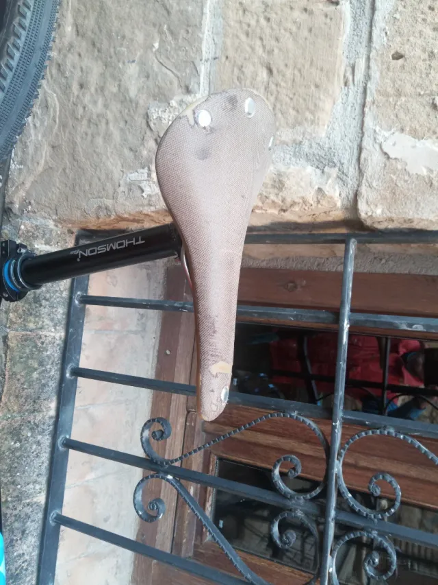 Ragley Blue Pig 27.5