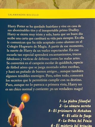 Harry Potter y la piedra filosofal (Harry Potte...