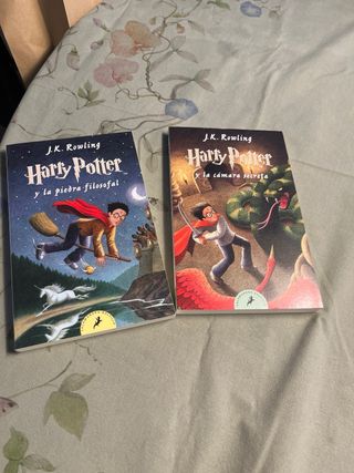 Harry Potter y la piedra filosofal (Harry Potte...