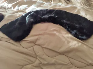 Collo di pelliccia marrone