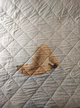 Trapunta Cassera letto singolo