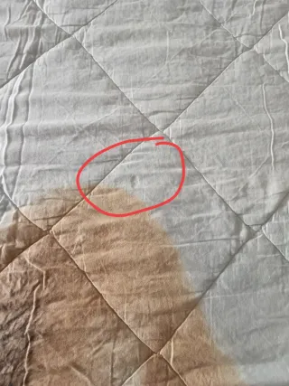 Trapunta Cassera letto singolo