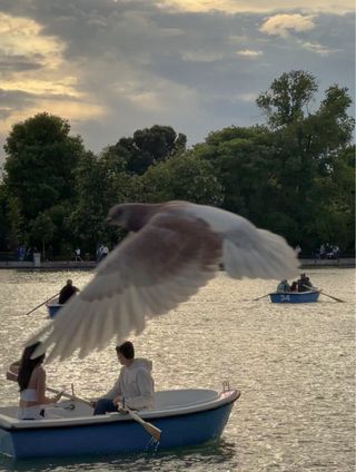 Ofrezco trabajo como fotógrafa