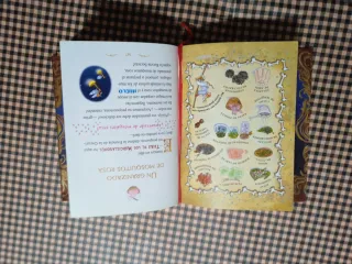 El gran libro del Reino de la Fantasía: ¡Descub...