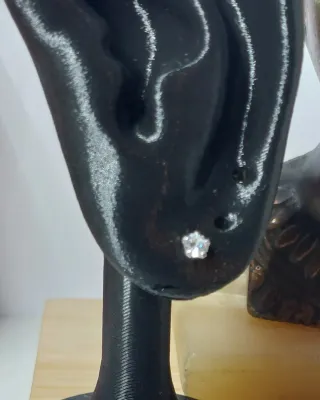 Pendientes de Plata de Ley