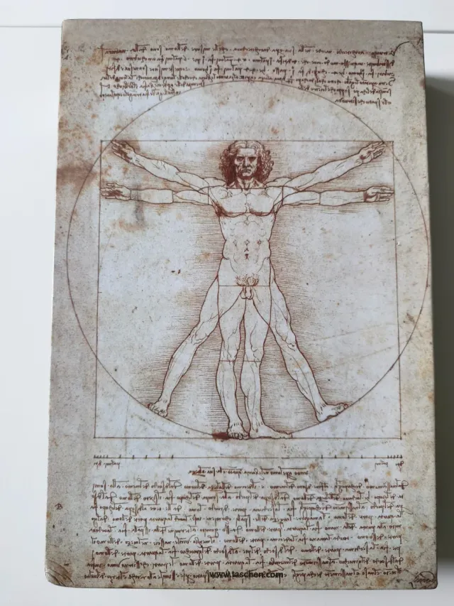 LEONARDO DA VINCI OBRA PICTORICA COMPLETA