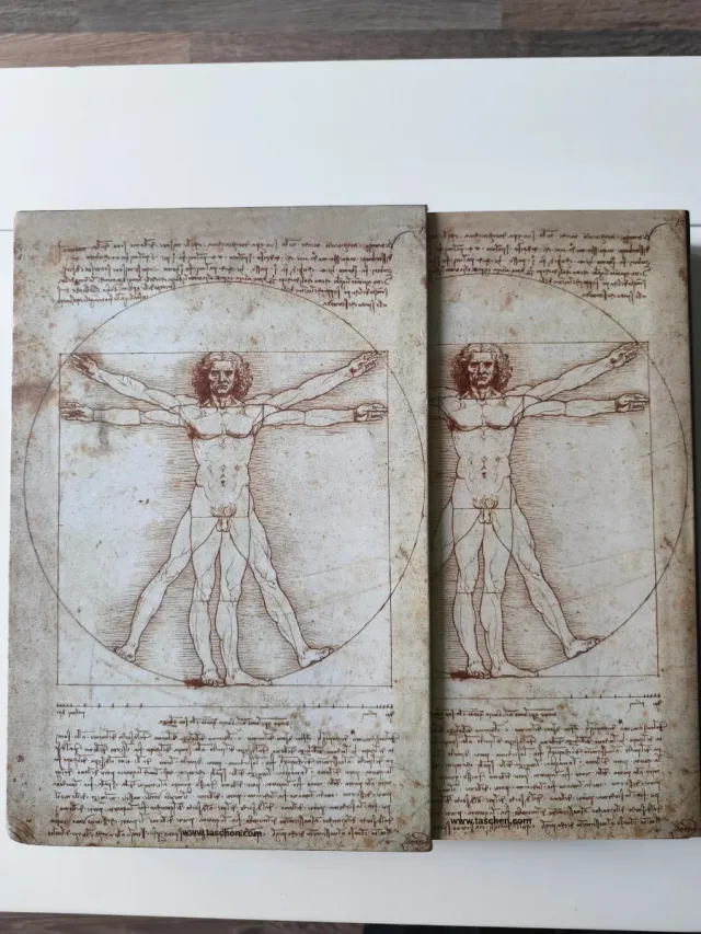 LEONARDO DA VINCI OBRA PICTORICA COMPLETA