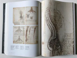 LEONARDO DA VINCI OBRA PICTORICA COMPLETA