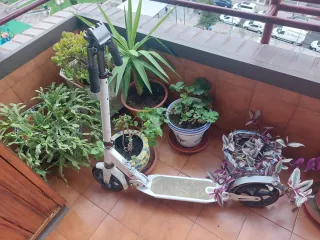 Patinete Oxelo Blanco