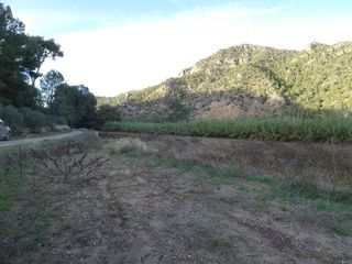 Terreno en venta en Móra d´Ebre