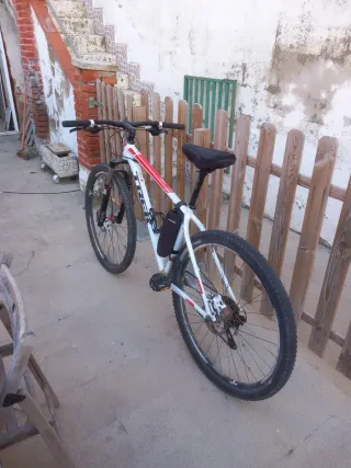 Bicicleta Trek Talla L