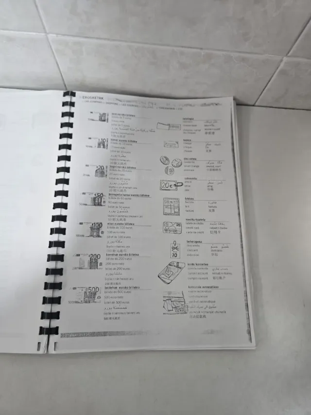 Un diccionario multilingüe para inmigrantes.