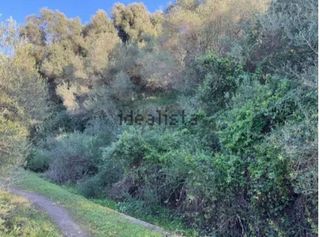 Terreno en venta en Arcos de la Frontera