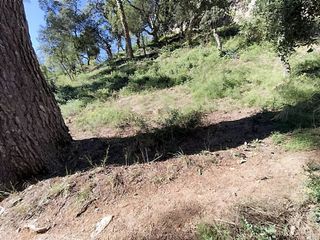 Terreno en venta en Tossa De Mar en Tossa de Mar