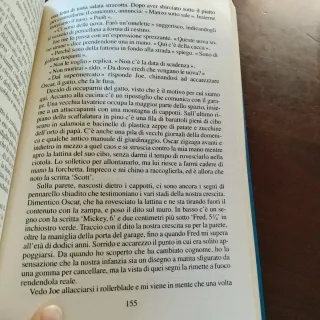 Quel ragazzo della porta accanto