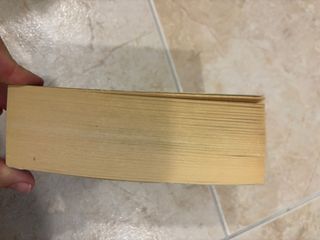 Jerusalén.Troya 1 (nuevo) (Spanish Edition)