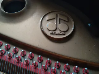 Vendo/Cambio piano  de cola negro por piano pared