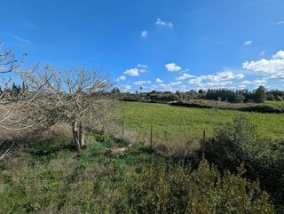 Solar en venta en Manacor Centro en Manacor