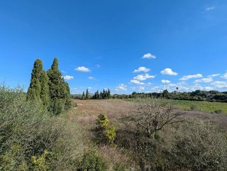 Solar en venta en Manacor Centro en Manacor