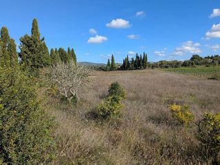 Solar en venta en Manacor Centro en Manacor