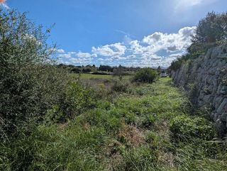 Solar en venta en Manacor Centro en Manacor
