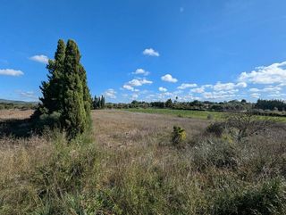 Solar en venta en Manacor Centro en Manacor