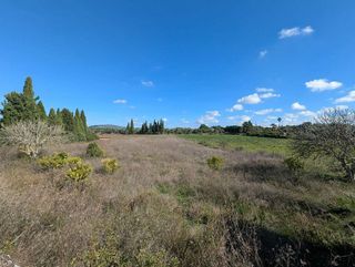 Solar en venta en Manacor Centro en Manacor